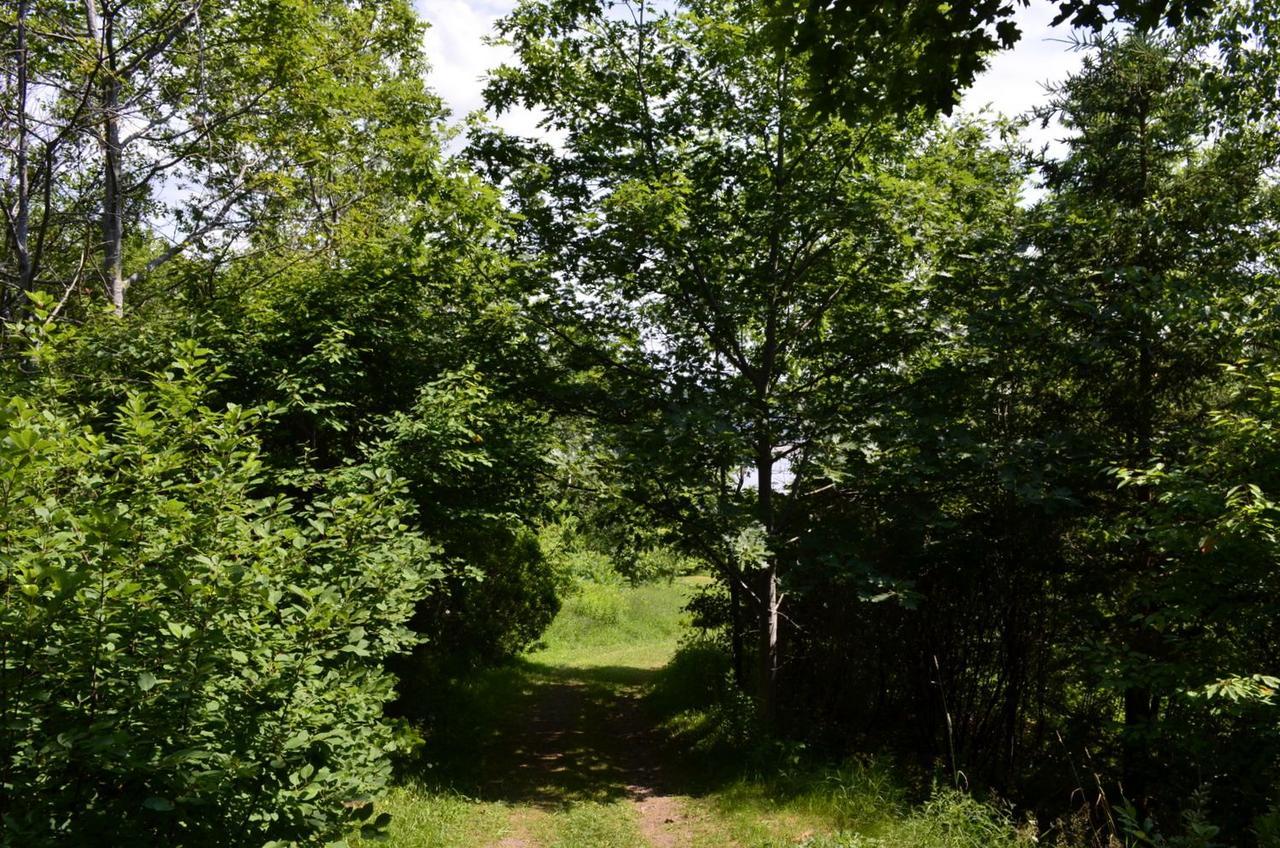 Still Point Lodge Deep Brook Kültér fotó